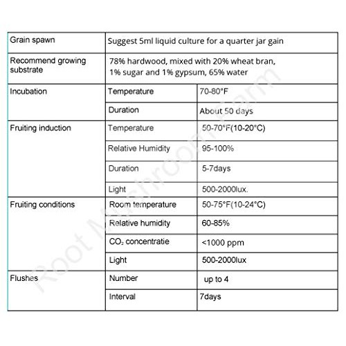 Root mushroom Farm- 30 Kinds of Mushroom Liquid Culture Available ...