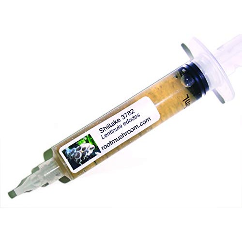 Root mushroom Farm- 30 Kinds of Mushroom Liquid Culture Available ...