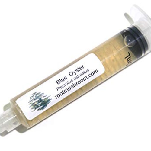 Root mushroom Farm- 30 Kinds of Mushroom Liquid Culture Available ...