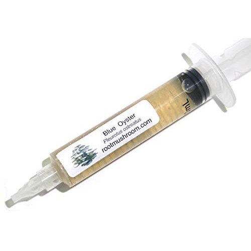 Root mushroom Farm- 30 Kinds of Mushroom Liquid Culture Available ...