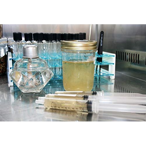 Root mushroom Farm- 30 Mushroom Liquid Cultures/Bulbous HoneyArmi...