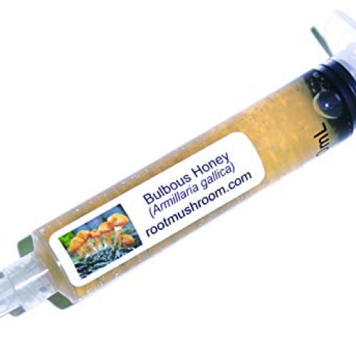 Root mushroom Farm- 30 Mushroom Liquid Cultures/Bulbous HoneyArmi...