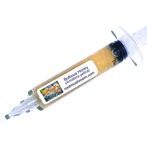 Root mushroom Farm- 30 Mushroom Liquid Cultures/Bulbous HoneyArmi...