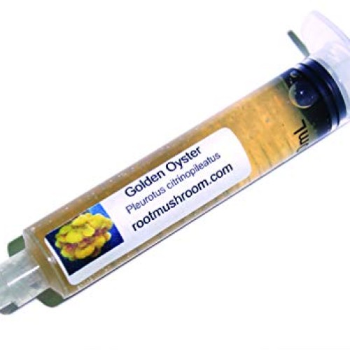 Root mushroom Farm- 30 Mushroom Liquid Cultures/Golden OysterPleu...