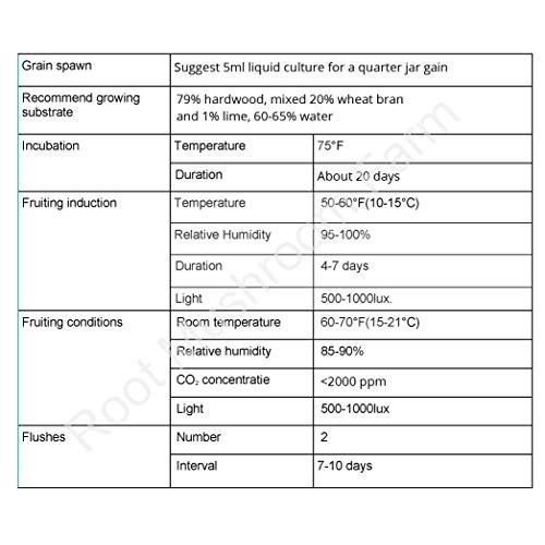 Root mushroom Farm- 30 Mushroom Liquid Cultures/King OysterPleuro...