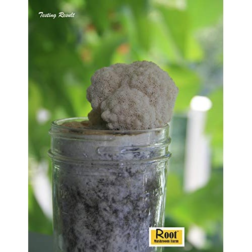 Root mushroom Farm- 30 Mushroom Liquid Cultures/Lions ManeHerici...
