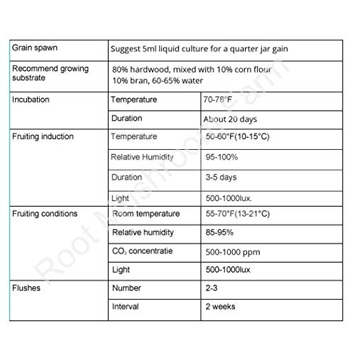 Root mushroom Farm- 30 Mushroom Liquid Cultures/Lions ManeHerici...