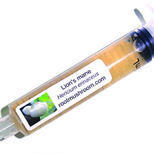 Root mushroom Farm- 30 Mushroom Liquid Cultures/Lions ManeHerici...