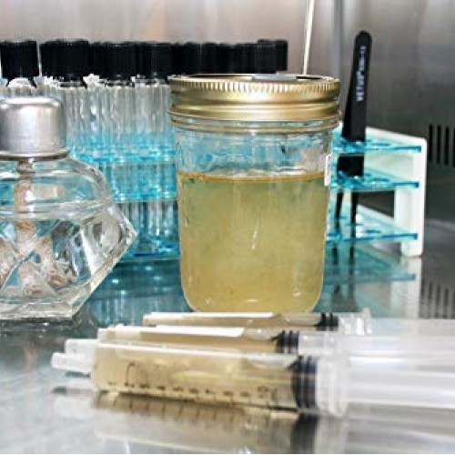 Root mushroom Farm- 30 Mushroom Liquid Cultures/Phoenix OysterPle...