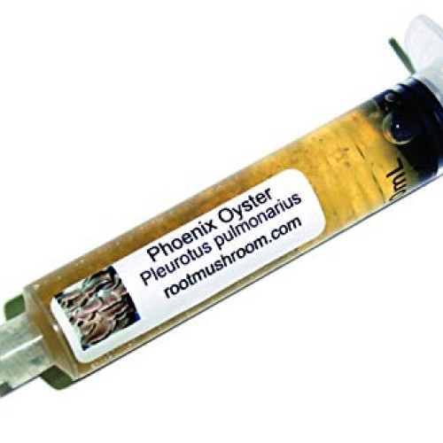 Root mushroom Farm- 30 Mushroom Liquid Cultures/Phoenix OysterPle...