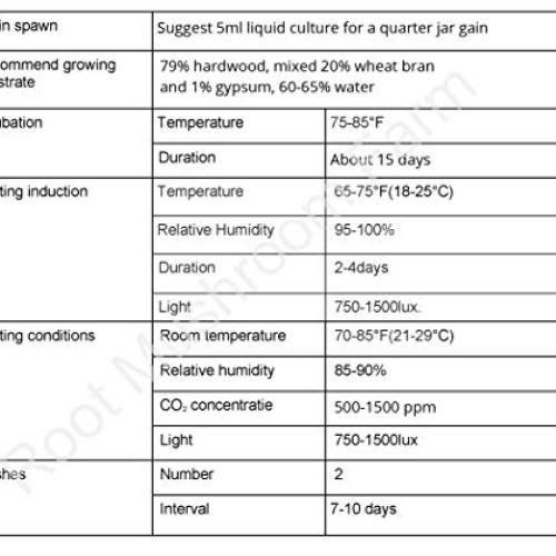 Root mushroom Farm- 30 Mushroom Liquid Cultures/Pink OysterPleuro...
