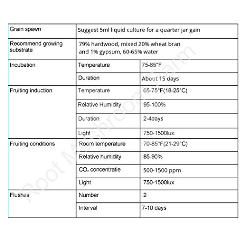 Root mushroom Farm- 30 Mushroom Liquid Cultures/Pink OysterPleuro...