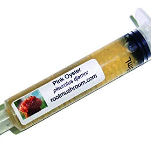Root mushroom Farm- 30 Mushroom Liquid Cultures/Pink OysterPleuro...