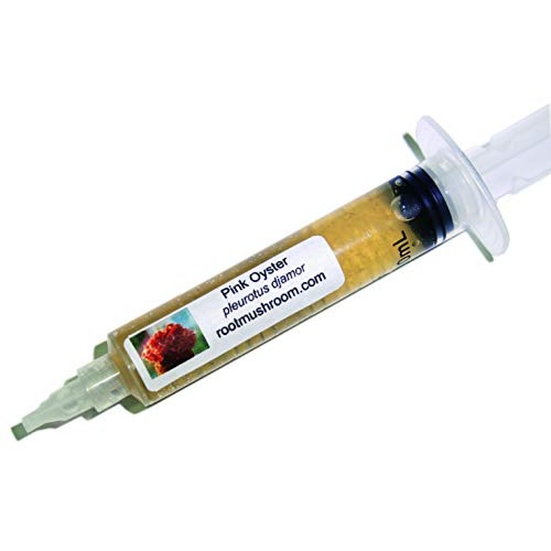 Root mushroom Farm- 30 Mushroom Liquid Cultures/Pink OysterPleuro...