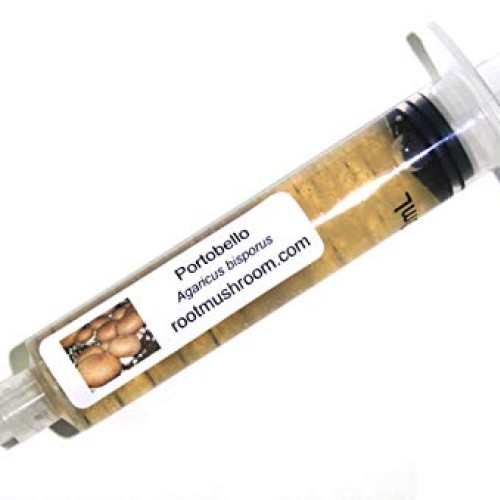 Root mushroom Farm- 30 Mushroom Liquid Cultures/Portobelloagaricu...