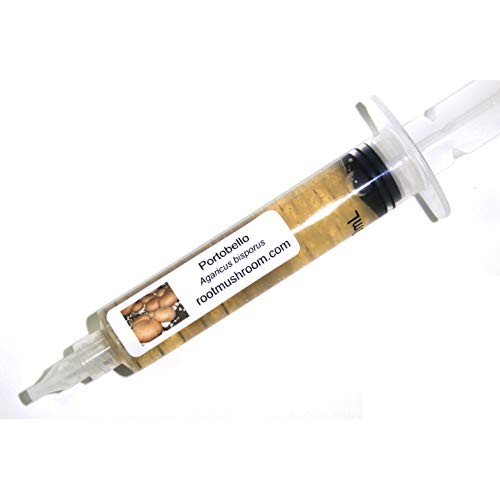 Root mushroom Farm- 30 Mushroom Liquid Cultures/Portobelloagaricu...