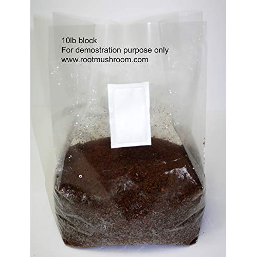 Root Mushroom Farm-Mushroom Growing Bags, XLS/Extra Large Size 10...