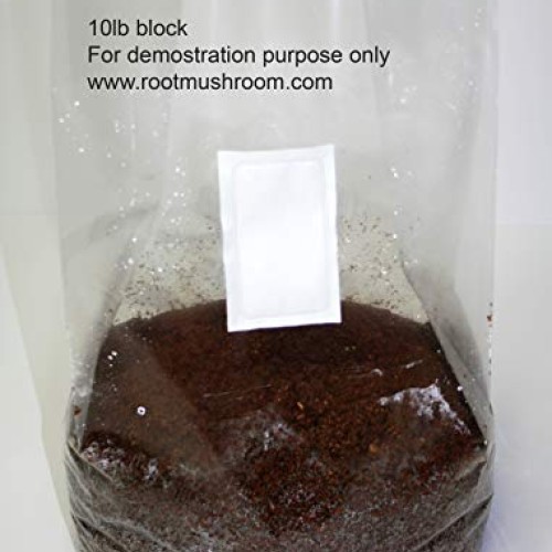 Root Mushroom Farm-Mushroom Growing Bags, XLS/Extra Large Size 10...