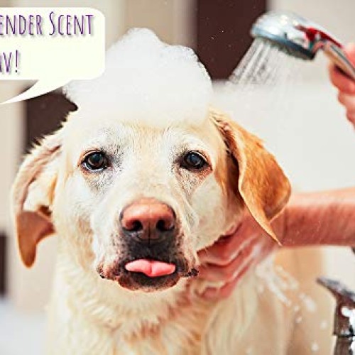 Rosen Apothecary Moisturizing Dog Wash 5-in-1 for Cleansing, Condi...