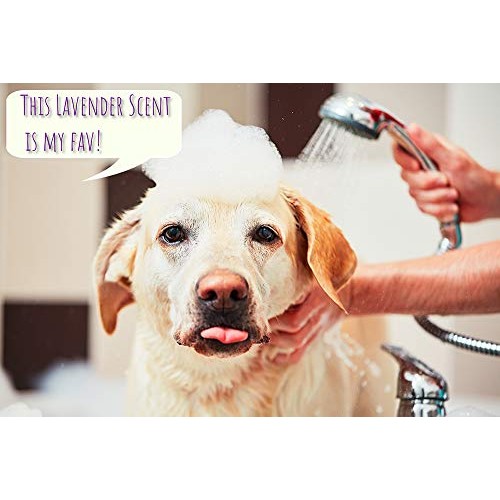 Rosen Apothecary Moisturizing Dog Wash 5-in-1 for Cleansing, Condi...