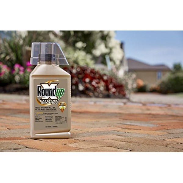 Roundup 5705010 Extended Control Weed and Grass Killer Plus Weed P...