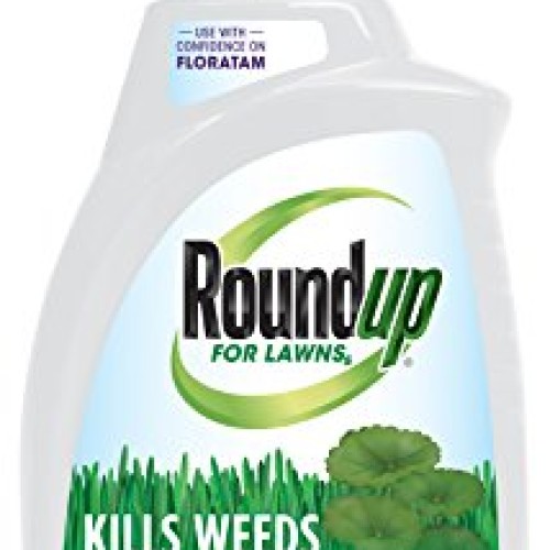 Roundup For Lawns Concentrate Southern - 32oz