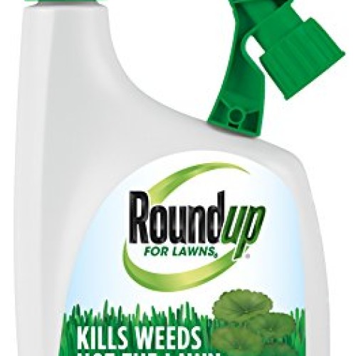 Roundup For Lawns RTS Southern - 32oz