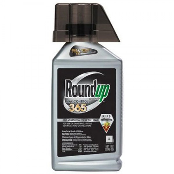 Roundup Max Control 365 Concentrate, 32-Ounce Weed Killer Plus We...