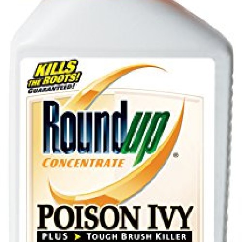 Roundup Poison Ivy Plus Tough Brush Killer Concentrate, 32-Ounce