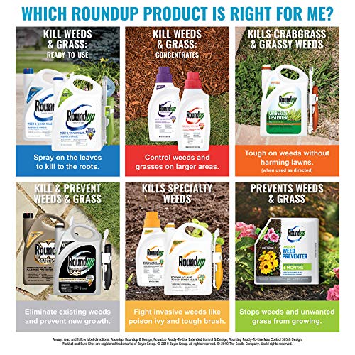 Roundup Ready-To-Use Weed & Grass Killer III Trigger Sprayer, 1 gal.