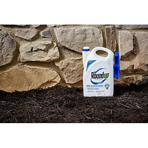 Roundup Ready-To-Use Weed & Grass Killer III Trigger Sprayer, 1 gal.