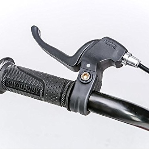 RoyalBaby Kids Bike Boys Girls Freestyle BMX Bicycle With Kickstan...