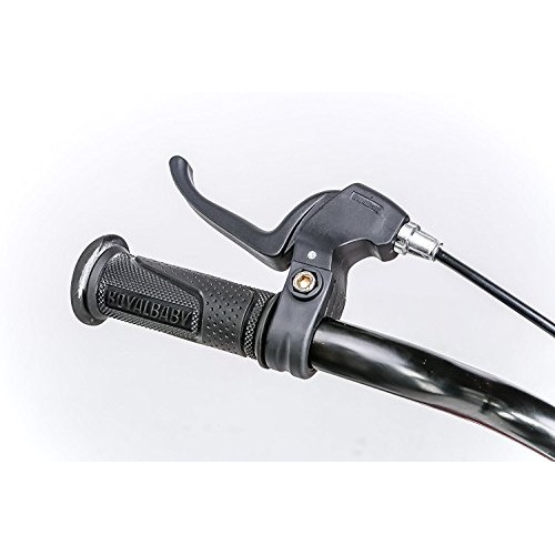 RoyalBaby Kids Bike Boys Girls Freestyle BMX Bicycle With Kickstan...