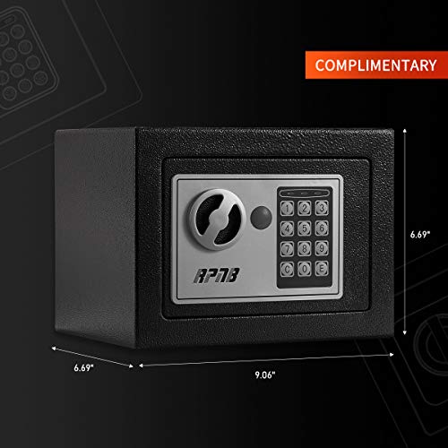 RPNB Rifle Safe,Electronic Security Cabinet,Quick Access 5-...