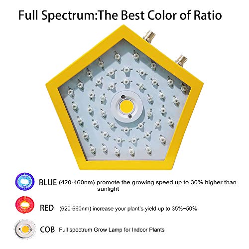 RROWER Led Grow Light 1000W, COB Full Spectrum for Indoor Plants,T...