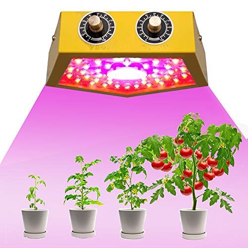 RROWER Led Grow Light 1000W, COB Full Spectrum for Indoor Plants,T...