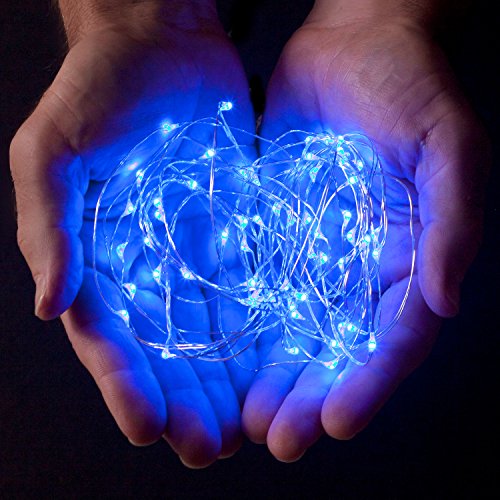 RTGS 60 LEDs String Lights Battery Operated on 20 Feet Long Silver...