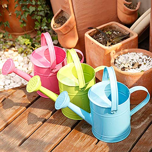 RTWAY Metal Watering Can, 1.5L or 51oz Kids Gardening Water Pot,...