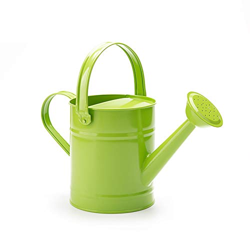 RTWAY Metal Watering Can, 1.5L or 51oz Kids Gardening Water Pot,...
