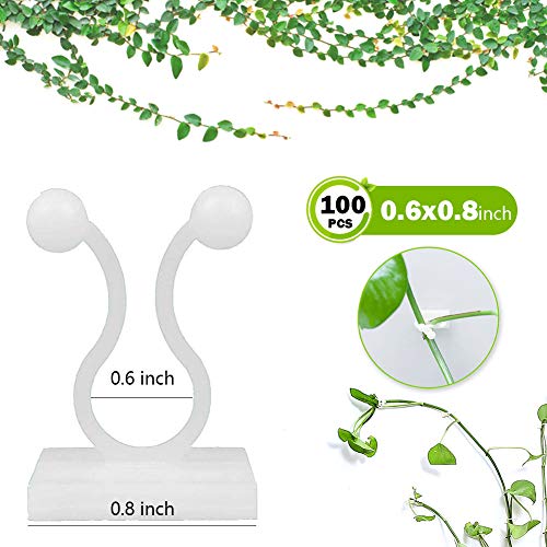Rushly Plant Climbing Wall Fixture Clips Invisible Wall Vines Fixt...