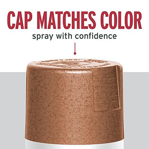 Rust-Oleum 210849 Stops Rust Hammered Spray Paint, 12 Oz, Copper, ...