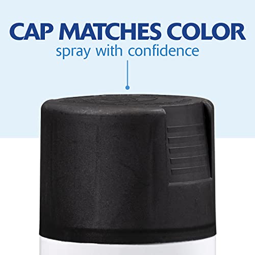 Rust-Oleum 249127 Painters Touch 2X Ultra Cover Spray Paint, 12 o...