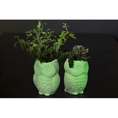 Rust-Oleum 267026 Specialty Glow in The Dark Spray Paint, 10 Ounce...