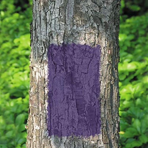 RUST-OLEUM 270970 Specialty Purple Hunting Spray Paint, 12 Ounce