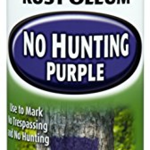 RUST-OLEUM 270970 Specialty Purple Hunting Spray Paint, 12 Ounce
