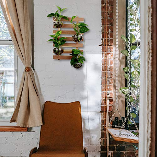 Rustic Craftsman Cedar Wall Planter 12 X 17.5 for Succulents, Ai...