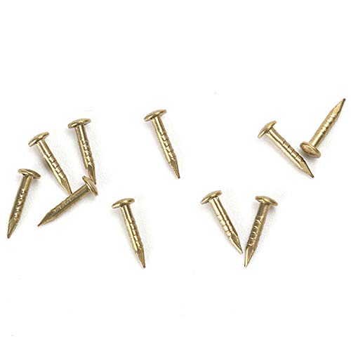 RZDEAL 200 PCS Miniature Nails Round Head Brass Nails for Small Hi...