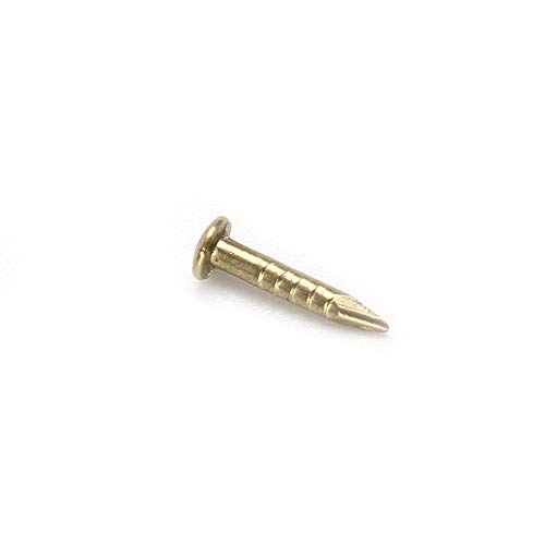 RZDEAL 200 PCS Miniature Nails Round Head Brass Nails for Small Hi...
