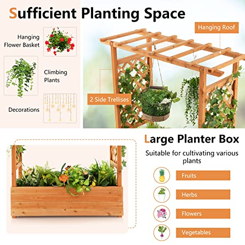Safstar Raised Garden Bed with Arch Trellis, Wood Planter Containe...