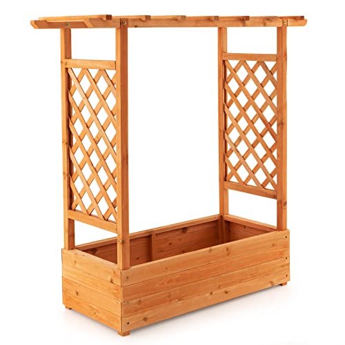 Safstar Raised Garden Bed with Arch Trellis, Wood Planter Containe...